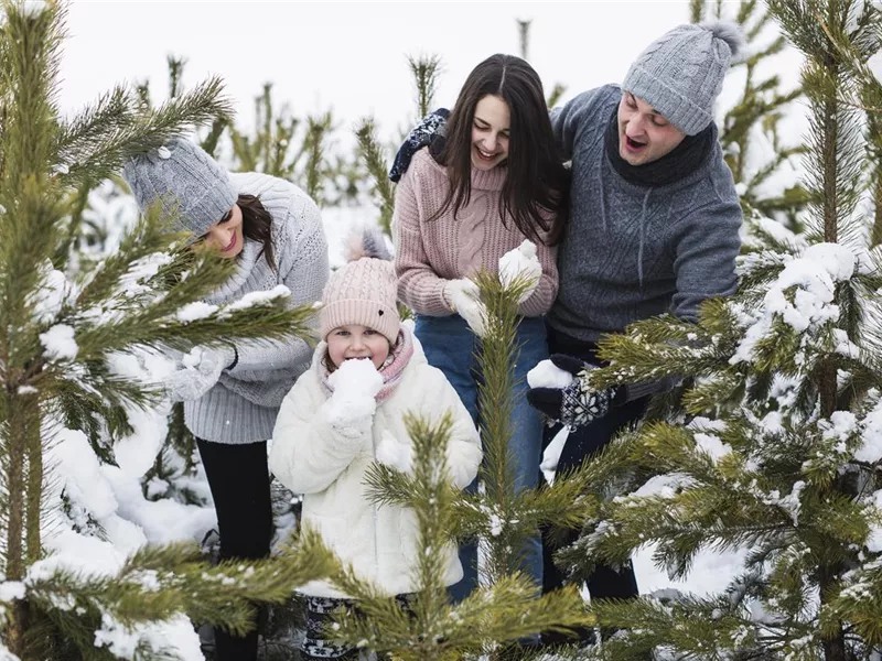 Aktion: Weihnachtsbaum selbst schlagen Aktion: Weihnachtsbaum selbst schlagen