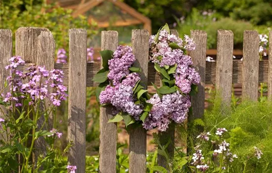 Gartenzäune und Co Gartenzäune und Co