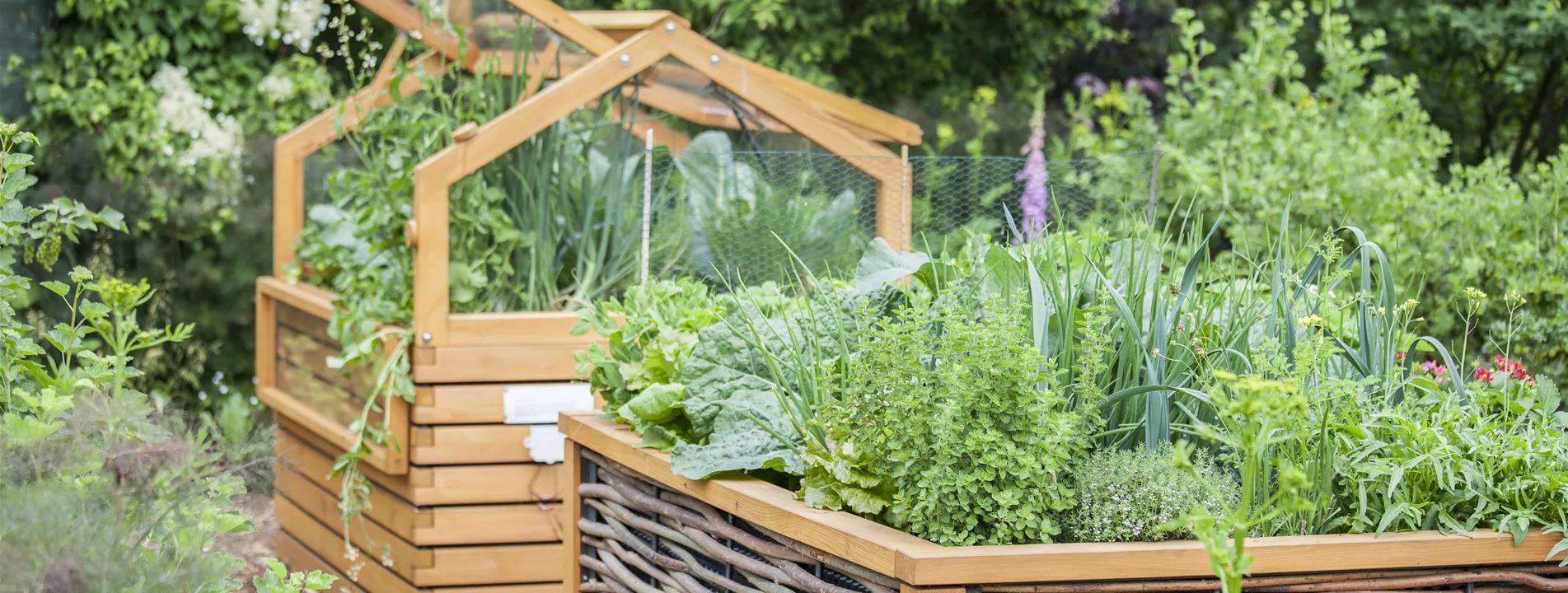 Seminar:Kräutergarten