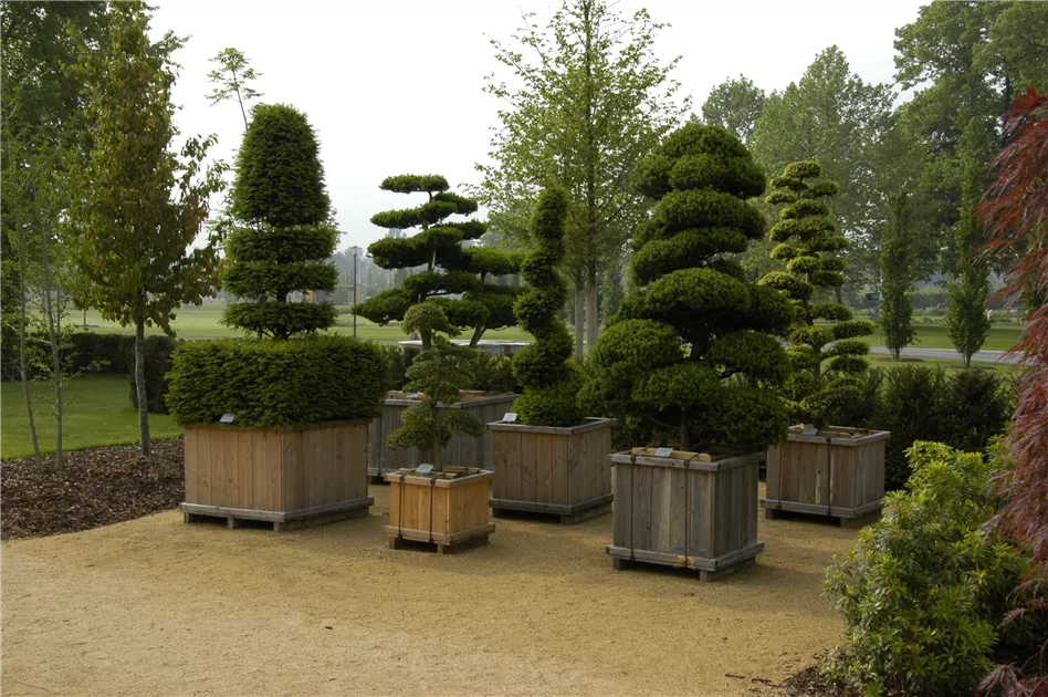 Formgehlze