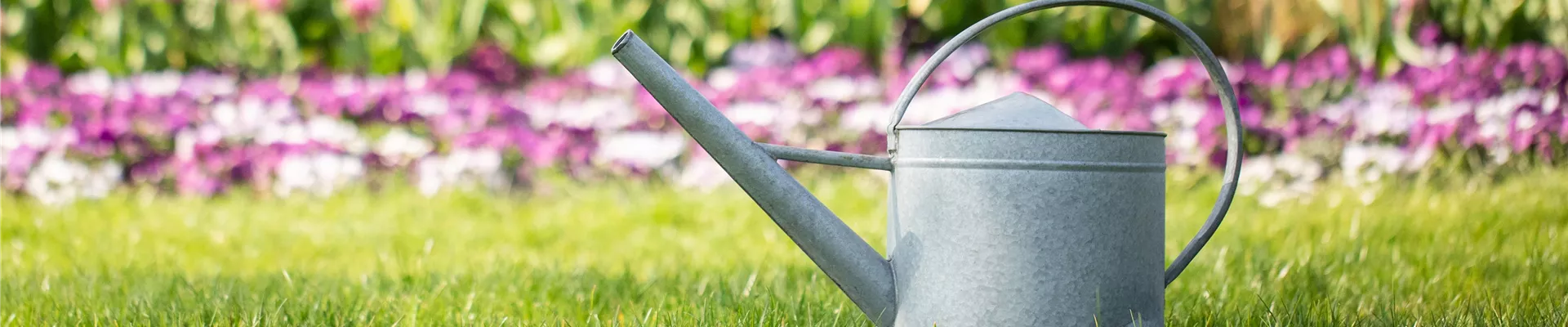 Gießkanne im Garten Gießkanne im Garten