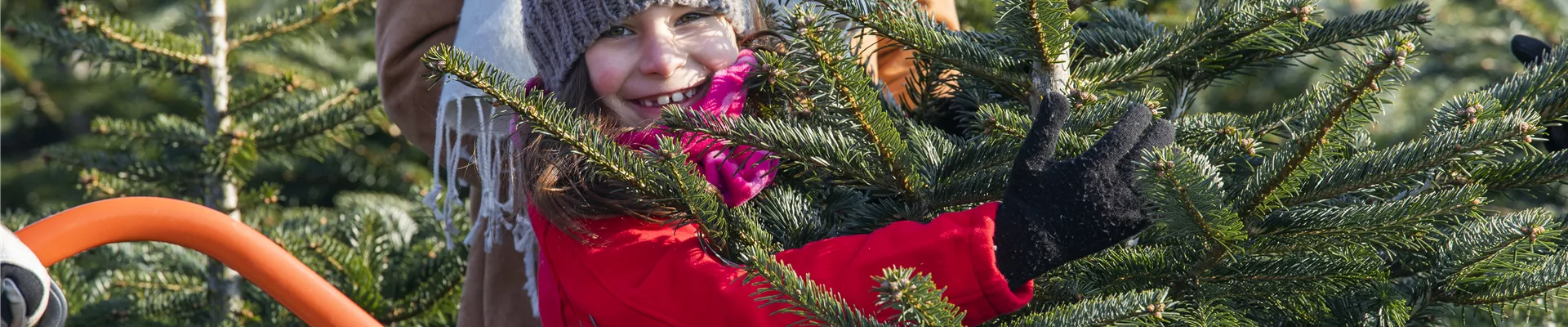 Mädchen mit Weihnachtsbaum Mädchen mit Weihnachtsbaum