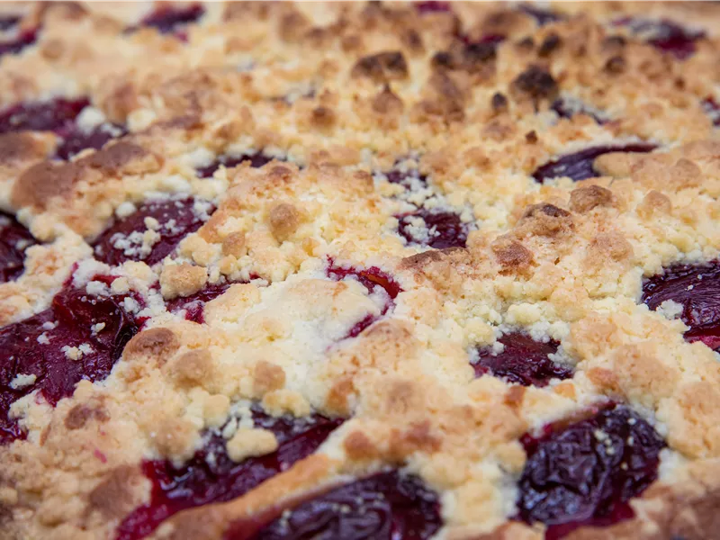 Gartencafé geöffnet