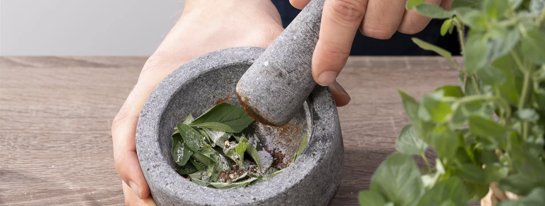 Spezialseminar: Kräuter-Brunch