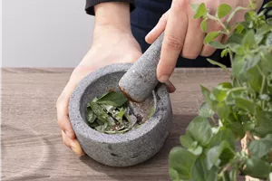 Spezialseminar: Kräuter-Brunch