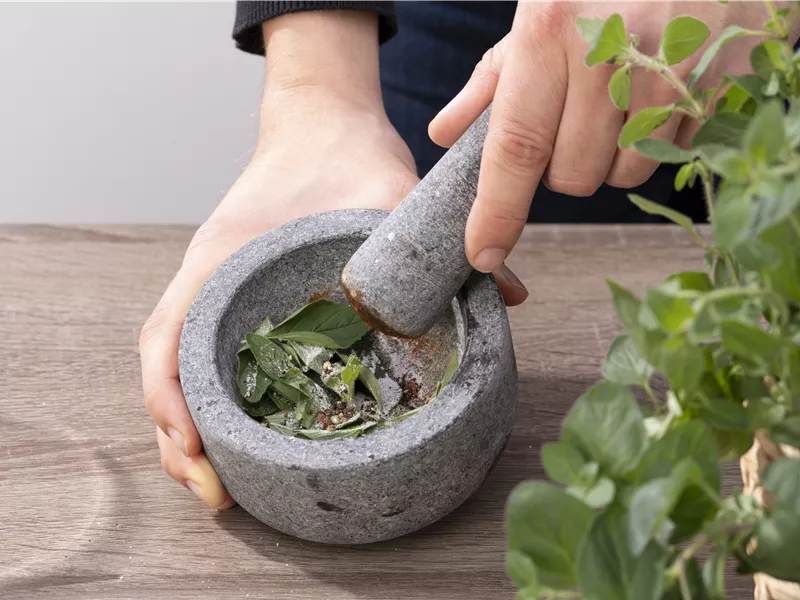 Spezialseminar: Kräuter-Brunch