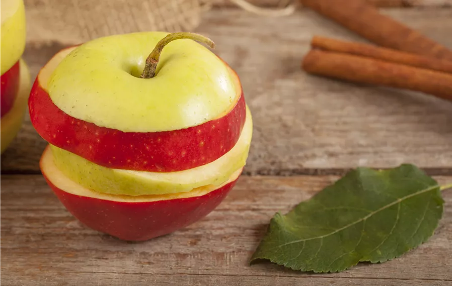 Apfel