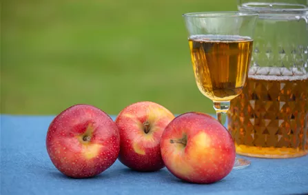 rote Äpfel