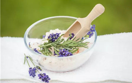 Lavendel Badesalz