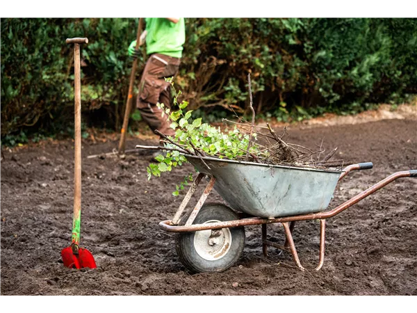 Gärtner (m/w/d) Fachrichtung Garten- und Landschaftsbau oder Baumschule
