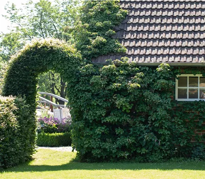 Erstbesichtigungstermin Gartenbau