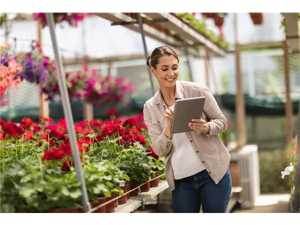 Büro-Allrounder (m/w/d) – Buchhaltung, Organisation & Social Media