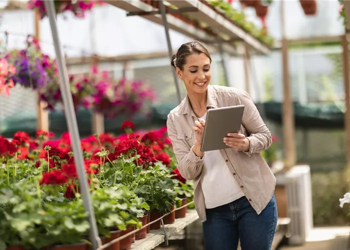 Büro-Allrounder (m/w/d) – Buchhaltung, Organisation & Social Media