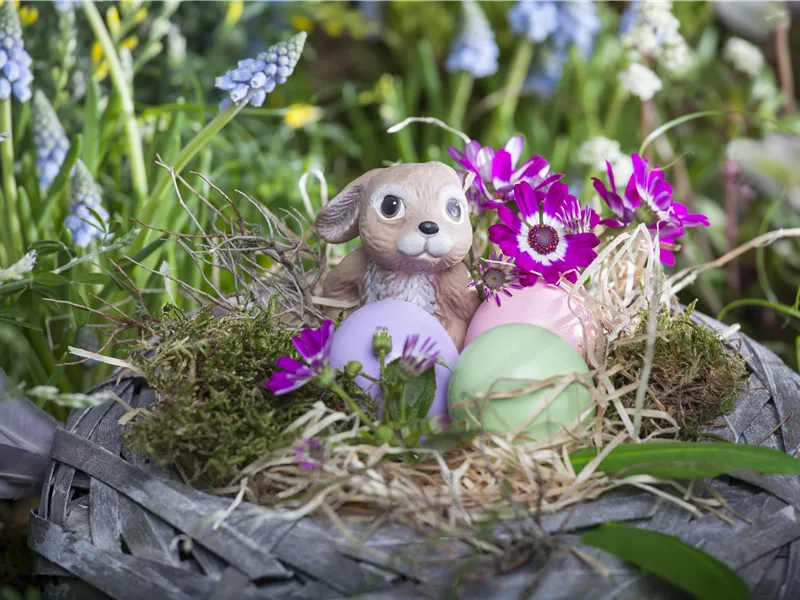Event für Kinder: Osterhase & Friends