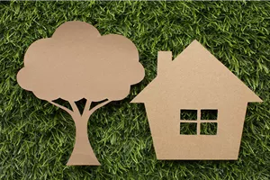 Seminar: Hausbaum - die natürliche Klimaanlage