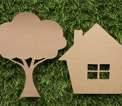 Seminar: Hausbaum - die natürliche Klimaanlage