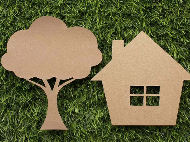 Seminar: Hausbaum - die natürliche Klimaanlage