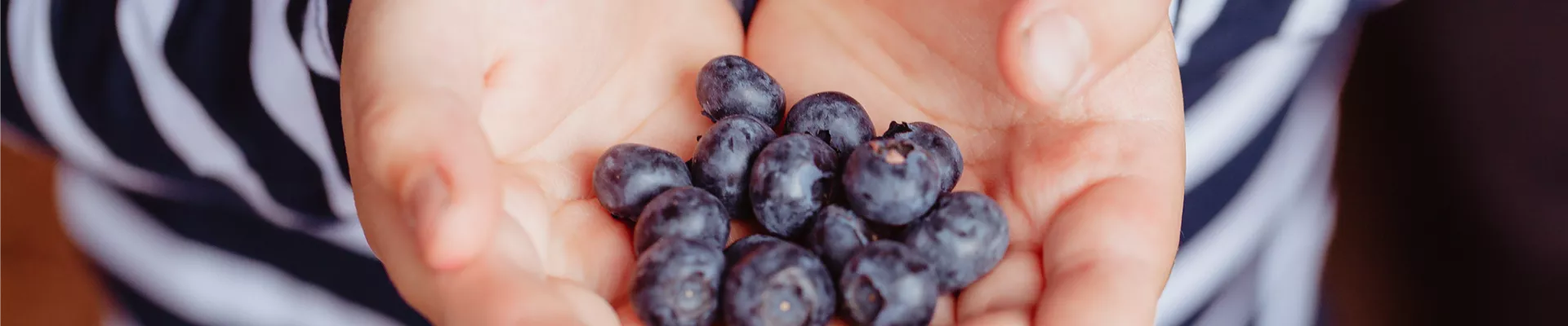 Heidelbeeren in Kinderhänden