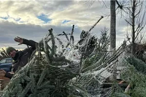 Aktion: Weihnachtsbaum selbst schlagen