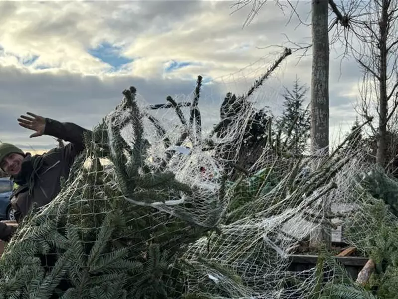 Aktion: Weihnachtsbaum selbst schlagen