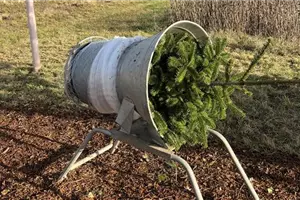 Aktion: Weihnachtsbaum selbst schlagen