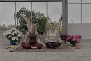 Yoga im Grünen