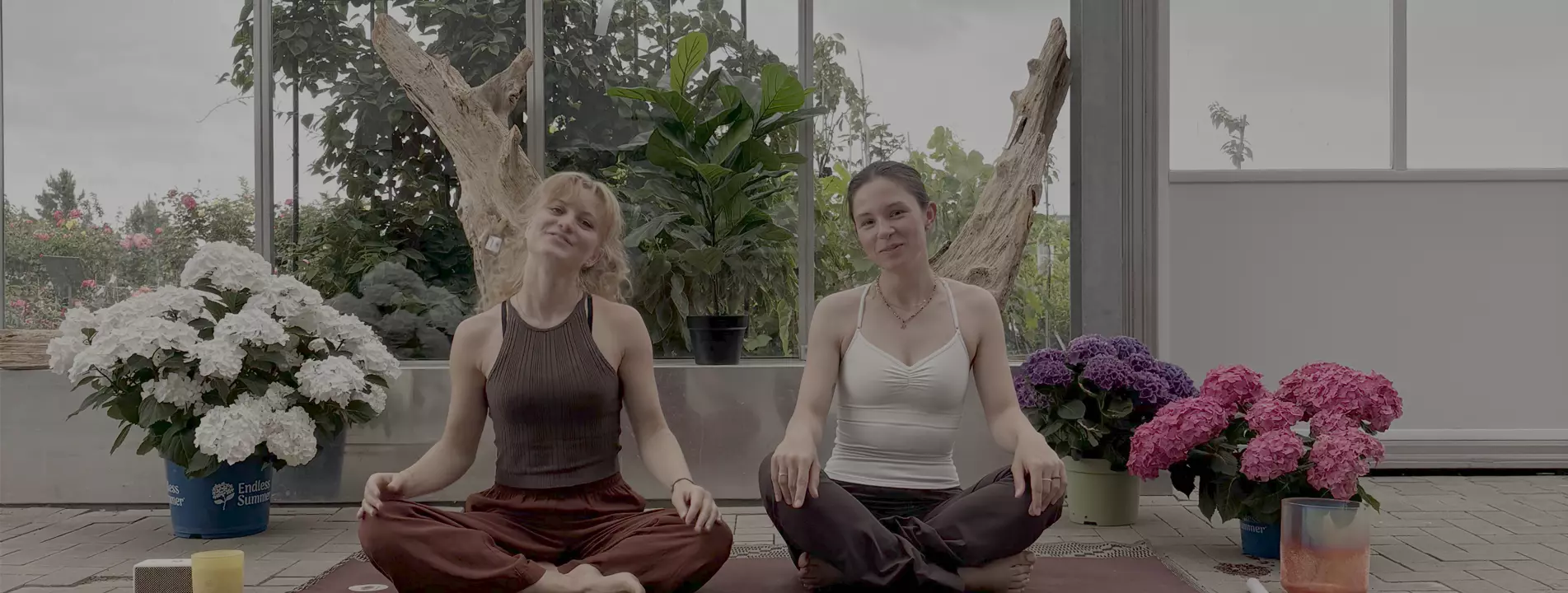 Yoga auf dem Pflanzenhof