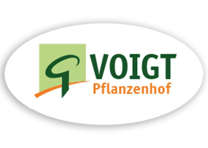 Die Haustür als Visitenkarte – Dekoration im Sommer
