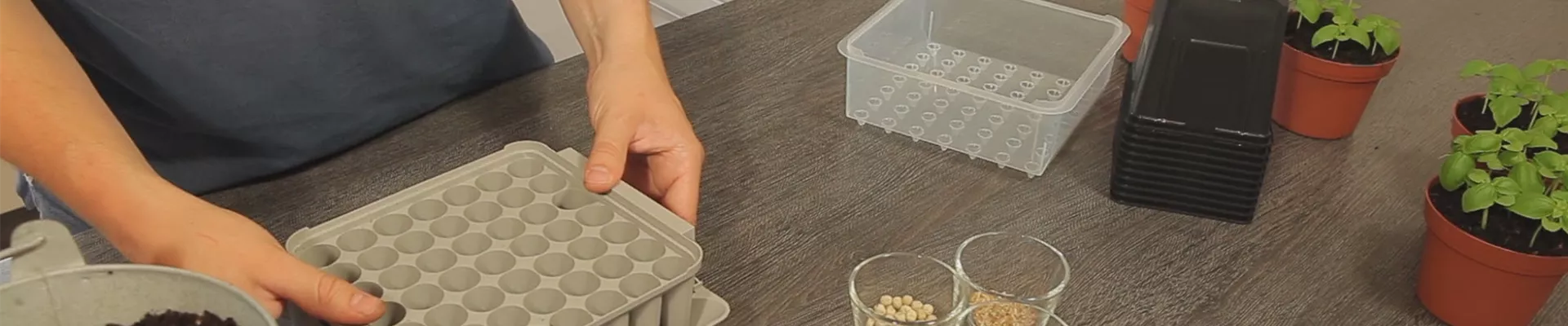 Tomaten - Aussäen von Samen (thumbnail) Tomaten - Aussäen von Samen (thumbnail)