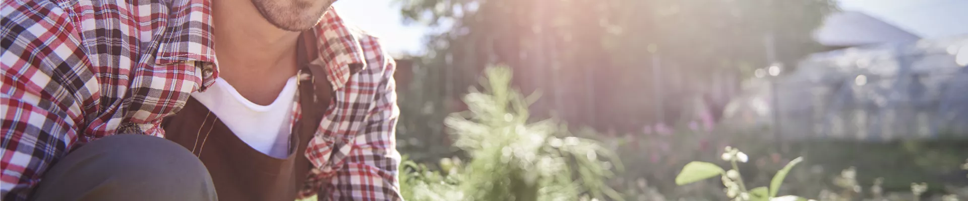 mann-bei-arbeit-im-gartencenter mann-bei-arbeit-im-gartencenter