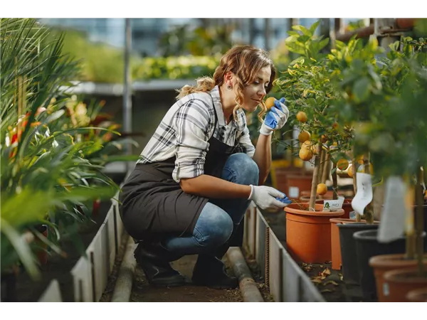 Verkaufsgärtner (m/w/d) für unser Gartencenter