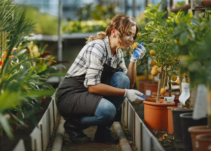 Verkaufsgärtner (m/w/d) für unser Gartencenter Verkaufsgärtner (m/w/d) für unser Gartencenter