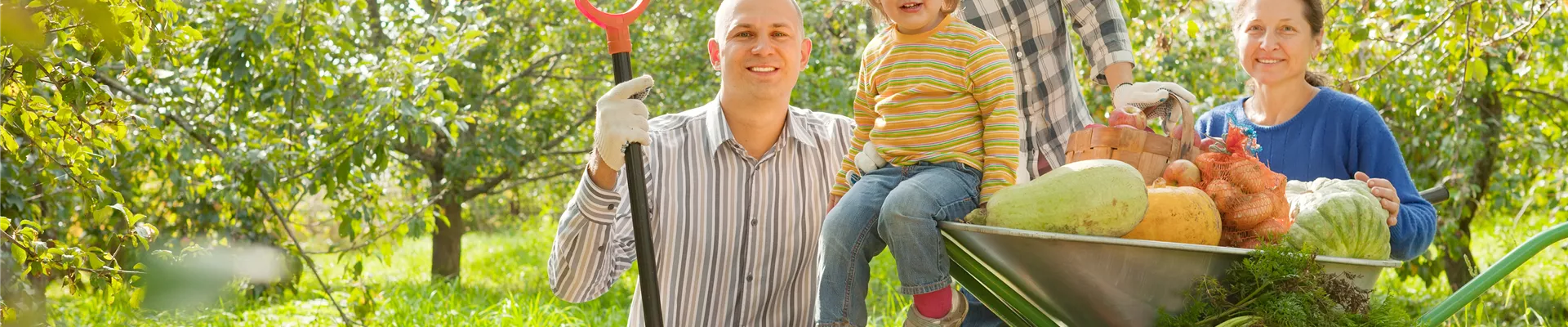 obstfest-ernte-familie