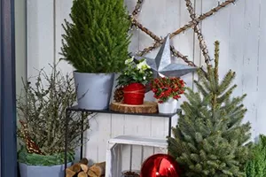 Workshop: Adventsfloristik für draußen Workshop: Adventsfloristik für draußen