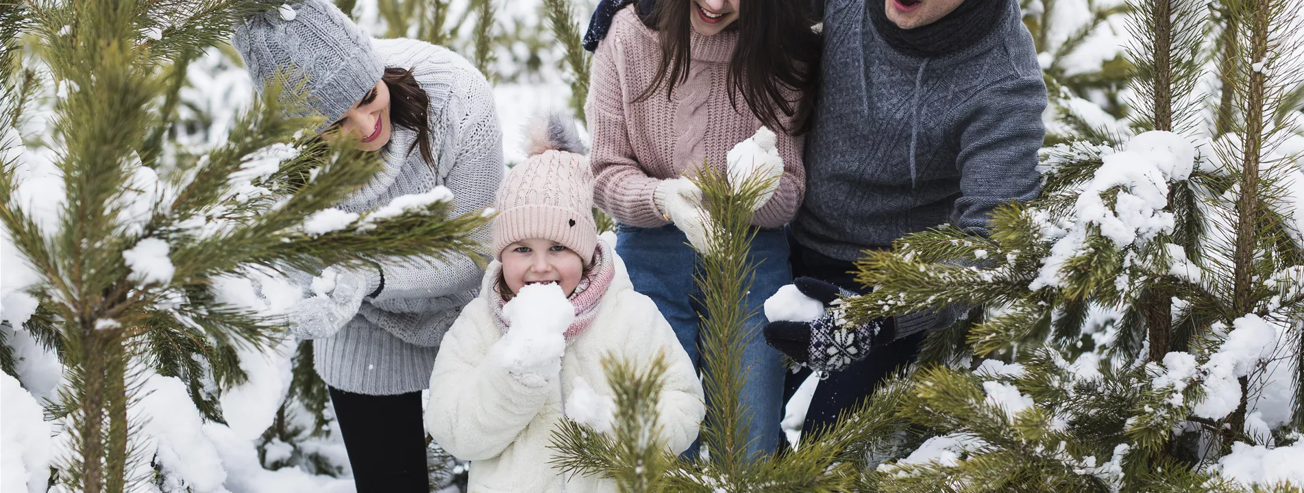 Aktion: Weihnachtsbaum selbst schlagen