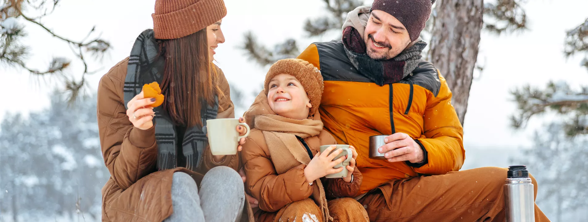 Aktion: Weihnachtsbaum selbst schlagen