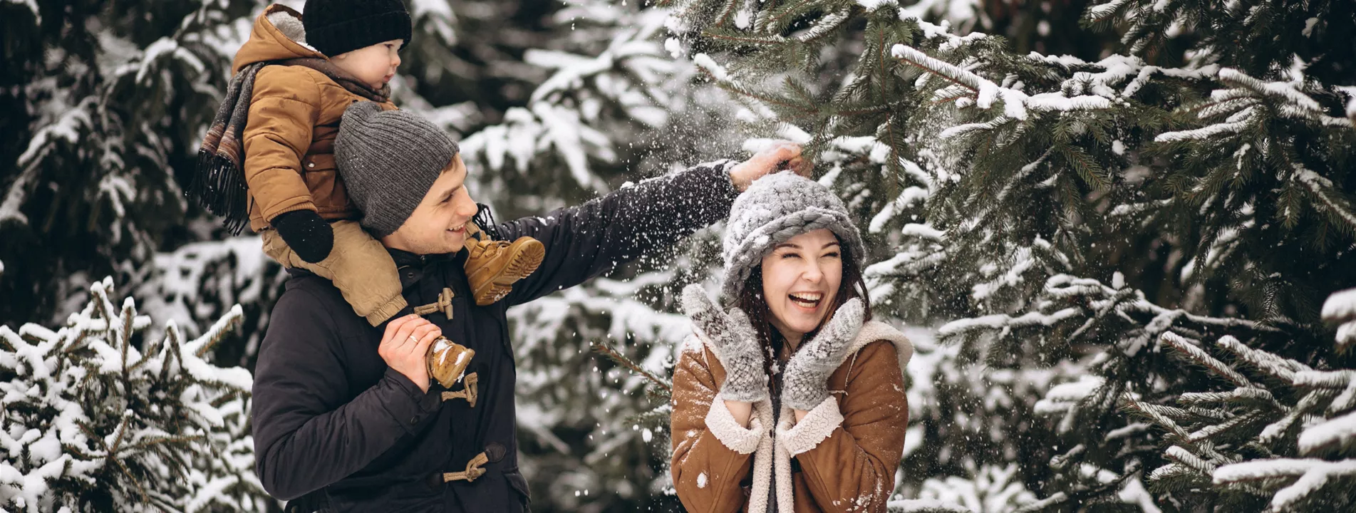 Aktion: Weihnachtsbaum selbst schlagen