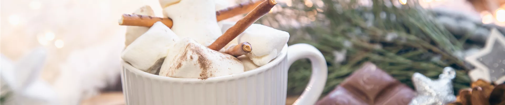 winterpause winterpause