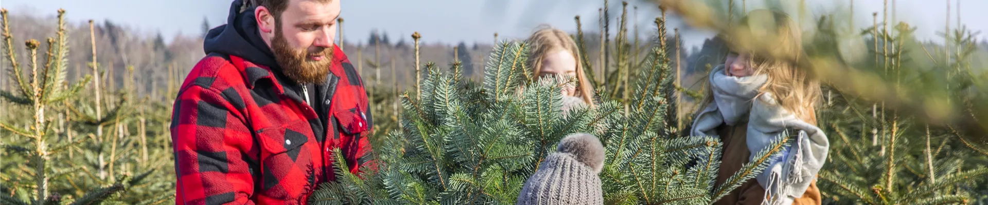 Weihnachtsbaum mit der Familie aussuchen Weihnachtsbaum mit der Familie aussuchen