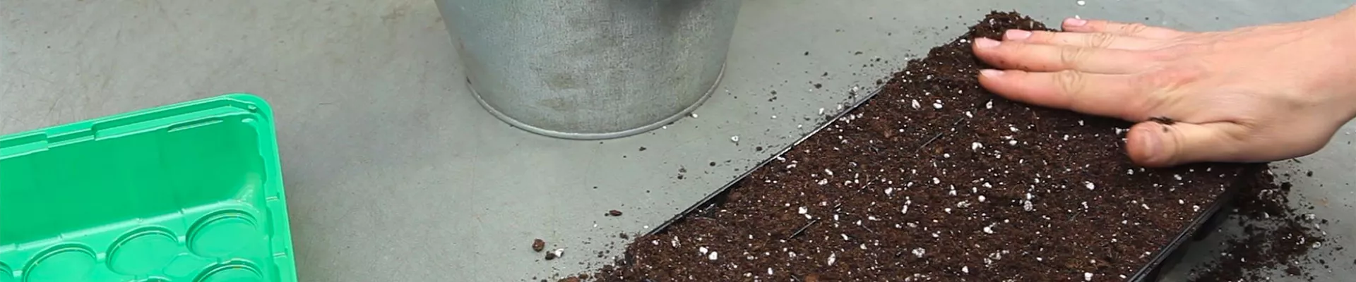 Gurken - Aussäen von Samen (thumbnail) Gurken - Aussäen von Samen (thumbnail)