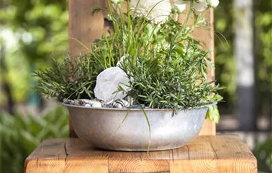 Neues aus kaputten Gartenmöbeln  Neues aus kaputten Gartenmöbeln